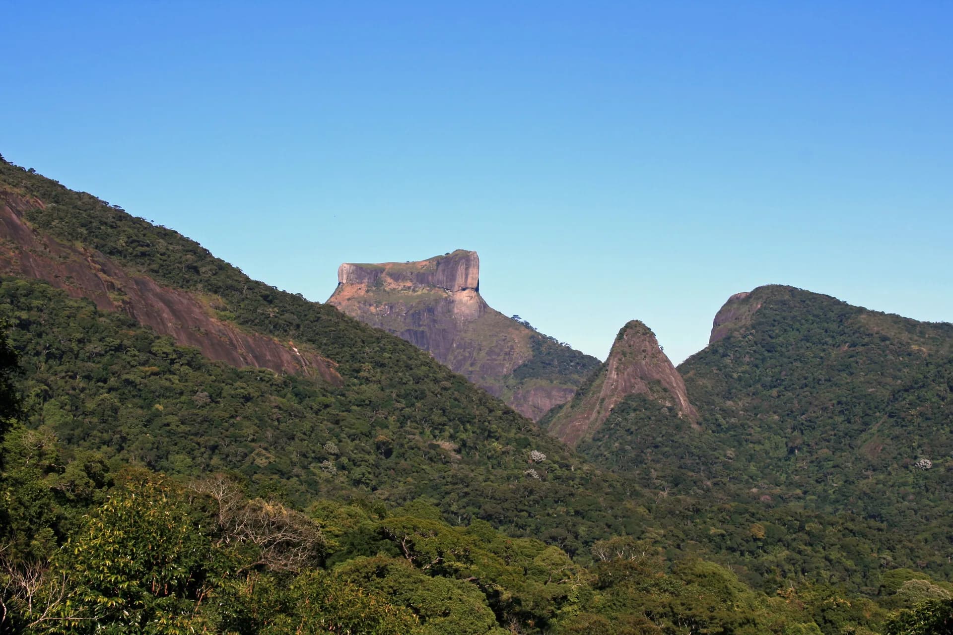 Floresta da Tijuca — maior floresta urbana do mundo, acessível do Galeão